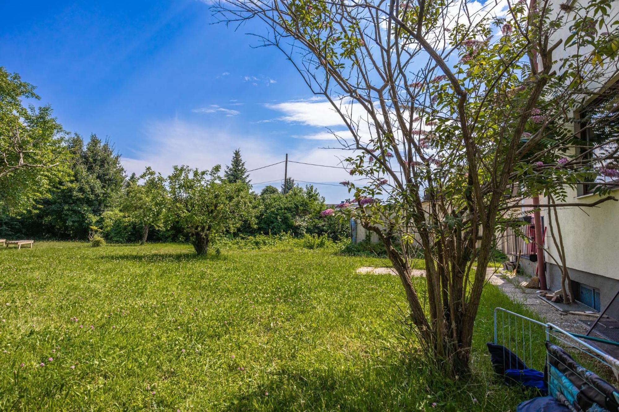 Comfy Rooms In Shared Villa With Terrace And Garden Wien Ngoại thất bức ảnh